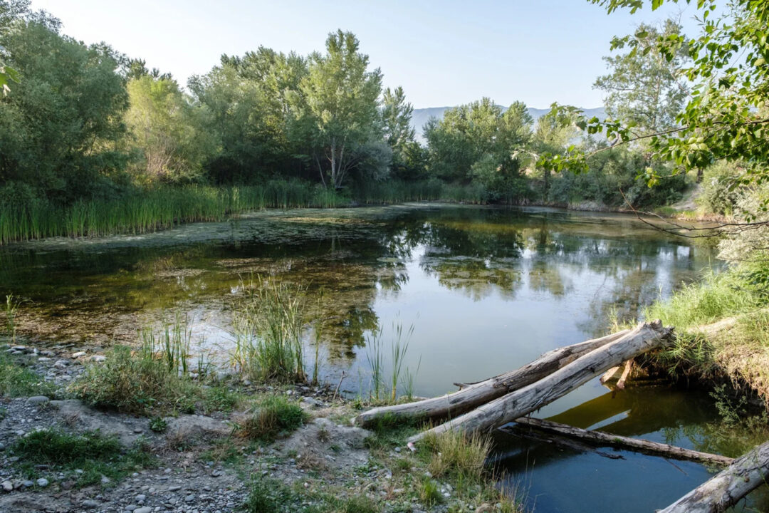 Entorno del parque natural Dighomi Meadows en Tiflis (Georgia) | Imagen: Storgaard Photography