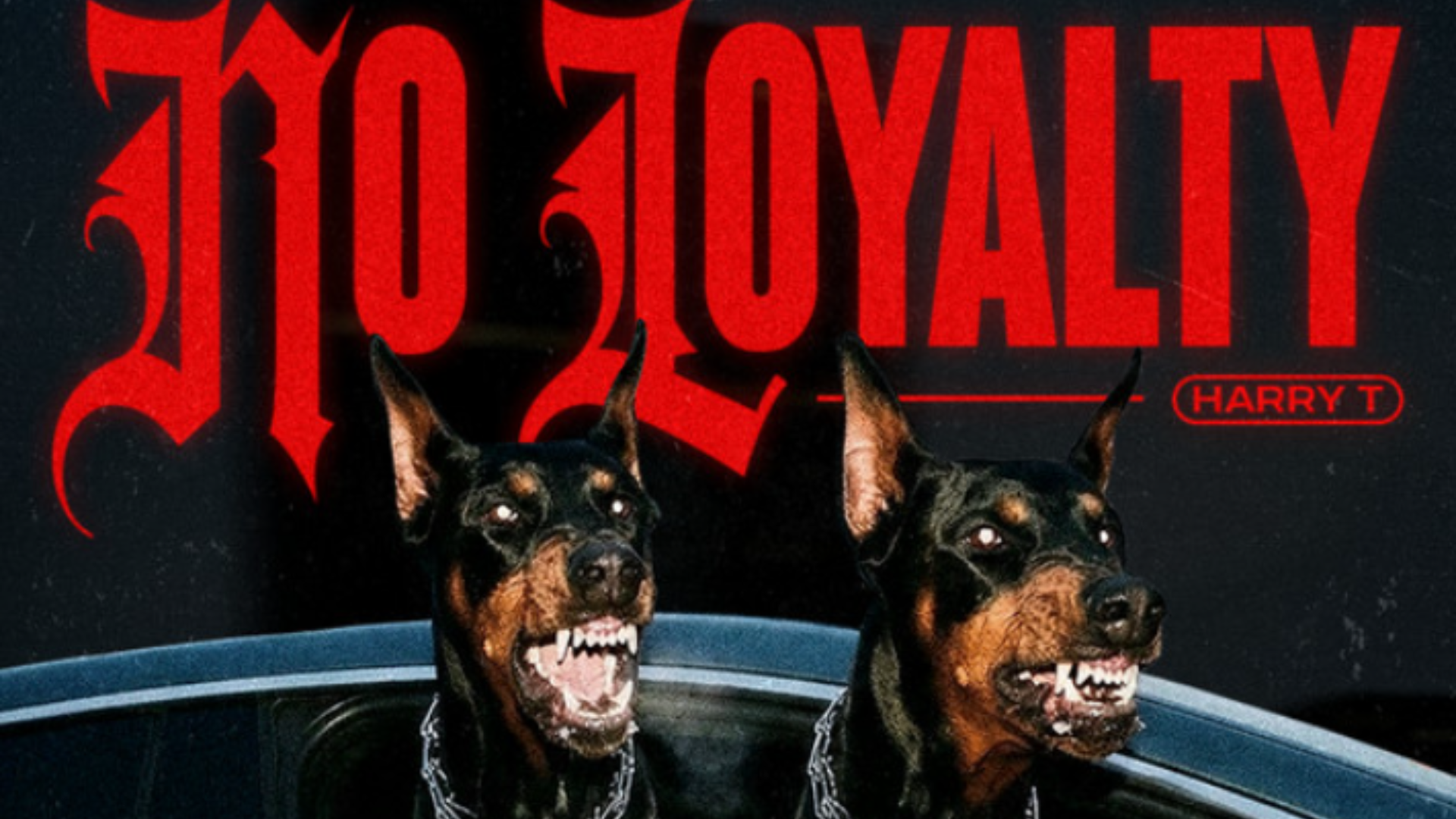 Portada de «No Loyalty» | Spotify